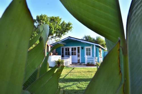 Kontiki Bungalows El Palmar