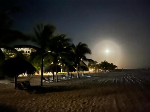 a group of palm trees on a beach at night at Playa Caracol, Punta Chame, Panamá in Chame