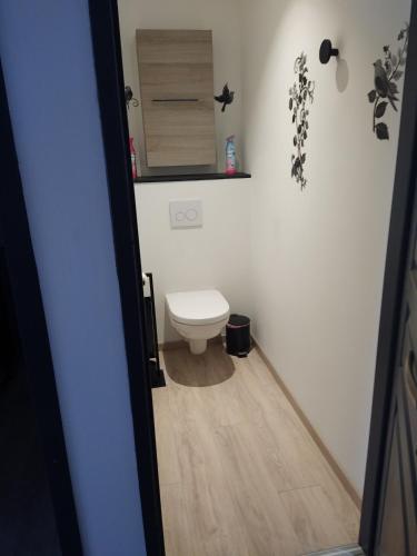 une salle de bain avec toilettes et un miroir au mur dans l'établissement OCEANE, à Champagné-les-Marais