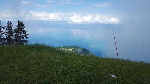 Thollon-les-Mémises - IGLOO 1