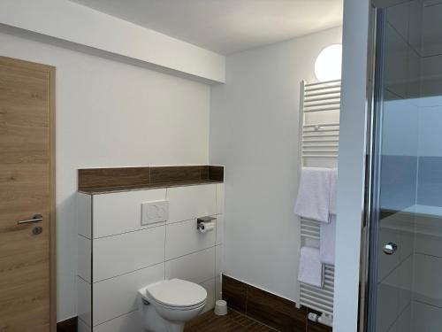 a bathroom with a toilet and a shower at Maiers Hotel in Bayerisch Eisenstein