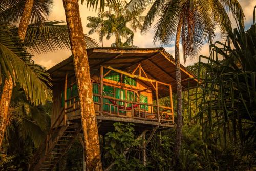 a tree house in the middle of palm trees at Ocean Forest Ecolodge in San Pedrillo