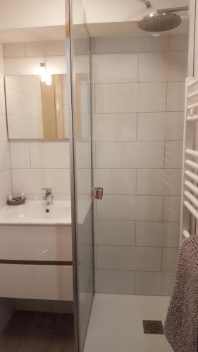 een badkamer met een douche en een wastafel bij Thollon-Les-Mémises - IGLOO 2 in Thollon