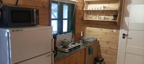 eine Küche mit einem Kühlschrank und einer Mikrowelle in der Unterkunft U Stefanów in Królowy Most