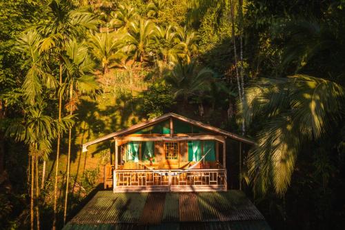 a house in the middle of a forest with palm trees at Ocean Forest Ecolodge in San Pedrillo