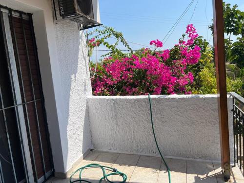 a garden hose on a balcony with pink flowers at σπίτι - αγρόκτημα - Δ Γεωργά Χατζηράση οδός Χατζηράση in Porto Heli