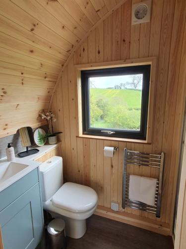 a small bathroom with a toilet and a window at Odli Glamping - Luxury Glamping Pod in Welshpool