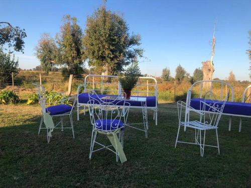 a group of chairs and a table in the grass at Uruguay Casa de Época Campestre in Mercedes