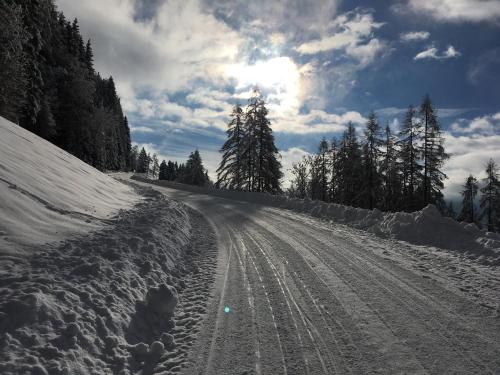 a road covered in snow with trees on the side at Pointhäusl in Pfarrwerfen