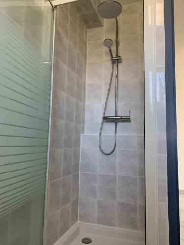 y baño con ducha con cabezal de ducha. en Appartement moderne près de Toulouse en Fonsorbes