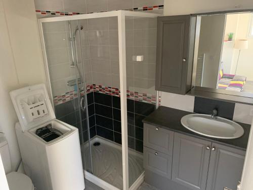 a small bathroom with a shower and a sink at Les Gîtes de la Colo in Ravenoville