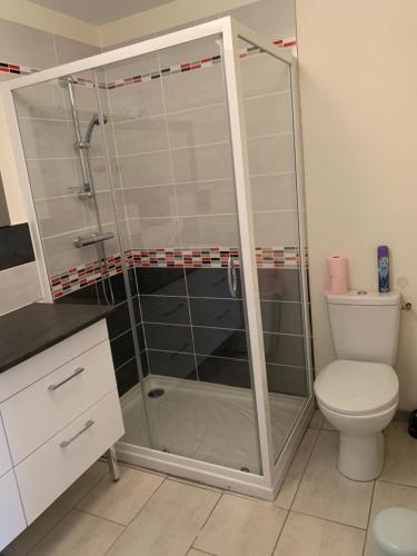a bathroom with a shower and a toilet at Les Gîtes de la Colo in Ravenoville