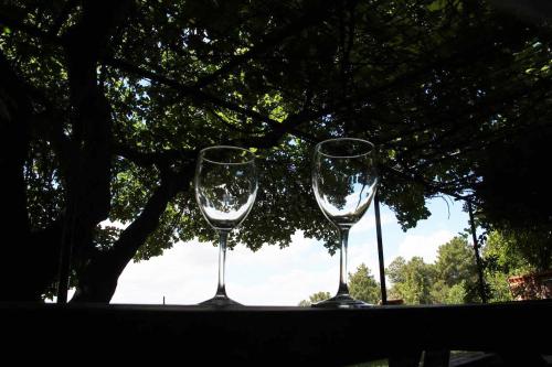 tres copas de vino sentadas en una mesa bajo un árbol en Casa Rural - Apartamentos Atuvera, en Villanueva de la Vera