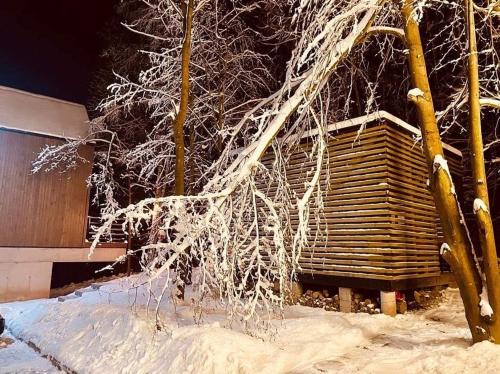 a tree covered in snow next to a wooden structure at Wzgórza Kunowskie - domy na wynajem z basenem, baliami i saunami in Bodzentyn