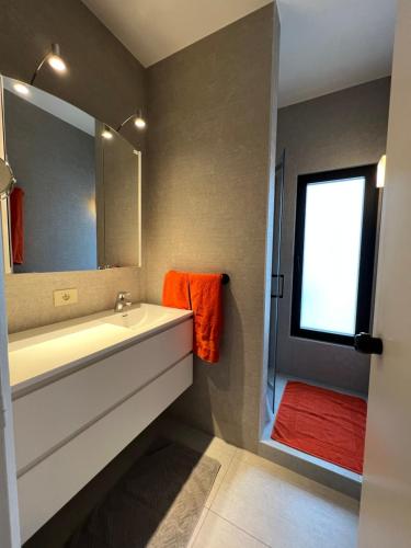 a bathroom with a sink and a mirror at Sakura Lodging in Bossut-Gottechain