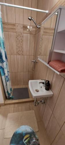a bathroom with a sink and a shower with a mirror at Zsófi apartman in Fonyód