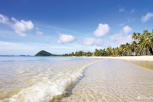a sandy beach with palm trees and the ocean at Thungwua laen resort in Chumphon