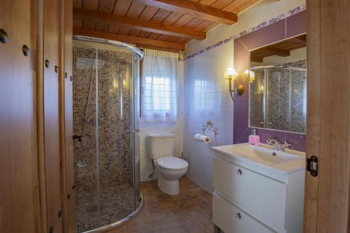 a bathroom with a shower and a toilet and a sink at casa rural La picotina in Navaconcejo