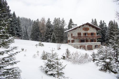 Residence for 12 persons Chalet Crestas-Lenzerheide v zimě