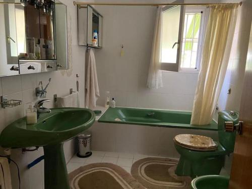 a bathroom with a green sink and a toilet at Villa Òdena in Odena