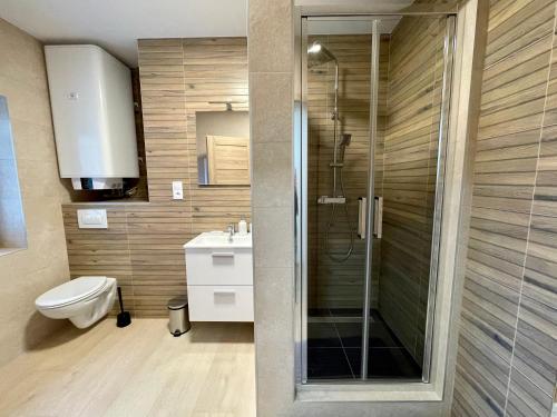 La salle de bains est pourvue d'une douche, de toilettes et d'un lavabo. dans l'établissement Apartmány Bechyně, à Bechyně