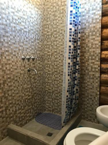 a bathroom with a shower with a toilet and a sink at ALIWWE in Uspallata