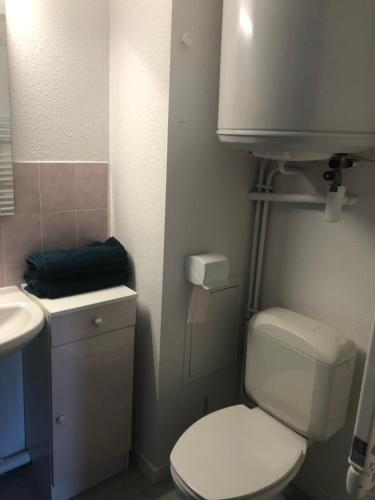 a small bathroom with a toilet and a sink at Le Villergeois 5 pers très proche mer in Villers-sur-Mer