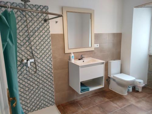 ビラノーバ・デ・アロウサにあるpension mar de rosaのバスルーム(洗面台、トイレ、シャワー付)