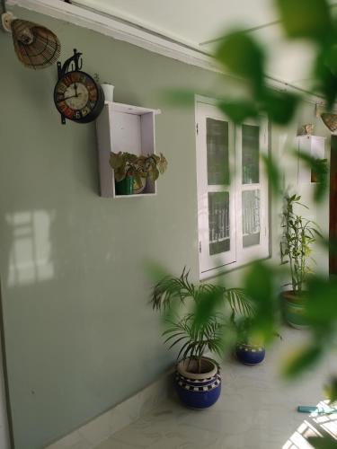 Gianna Homestay – Photos 4