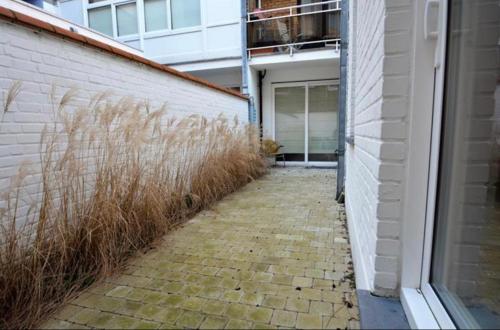 an alley with tall grass next to a building at Luxurious and cosy loft - Knokke in Knokke-Heist
