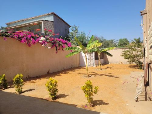 Κήπος έξω από το Auberge Keur Ely