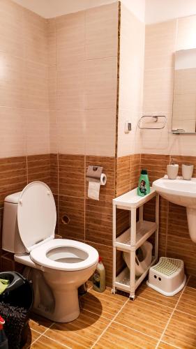 a bathroom with a toilet and a sink at Studios and Apartments - Semiramida Gardens in Borovets