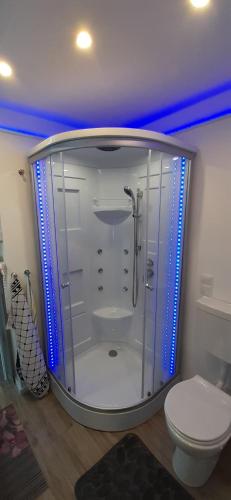 La salle de bains est pourvue d'une douche et de toilettes. dans l'établissement Apartment Schwarzach, à Schwarzach