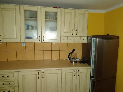 Küche/Küchenzeile in der Unterkunft Apartament między Strumykami