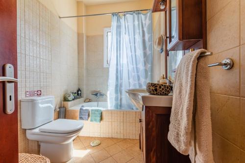 uma casa de banho com um WC, um lavatório e uma banheira em Villa Dionisia, Relaxation with Jacuzzi Retreat em Svoronata