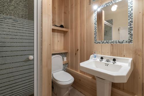 a bathroom with a sink and a toilet and a mirror at Gites de La Soulière in Aubin