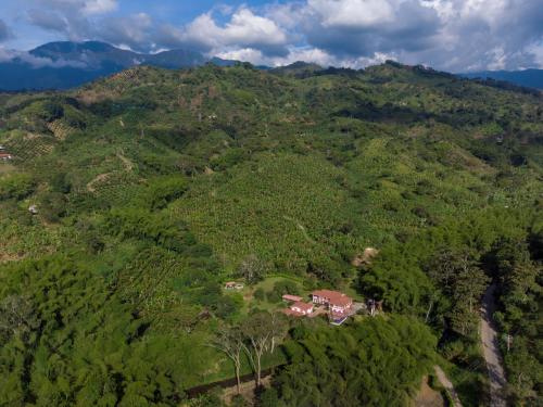 Casa Rivera del Cacao – Photos 5