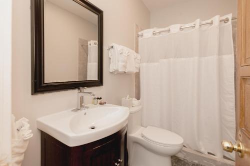 uma casa de banho com um lavatório, um WC e um espelho. em Chateau Hotel em Nova Orleães
