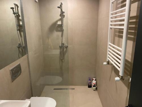 La salle de bains est pourvue d'une cabine de douche et de toilettes. dans l'établissement Bakuriani Kokhta-Mitarbi Resort, à Bakuriani