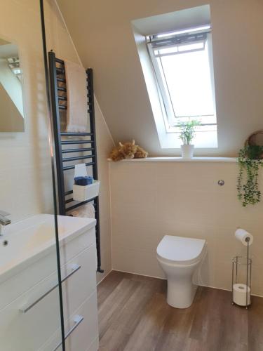 a bathroom with a toilet and a window and a sink at Maple Cottage B&B in Gullane