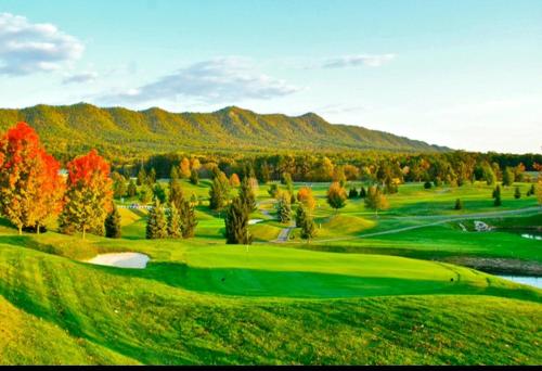 Massanutten Resort – Photos 3