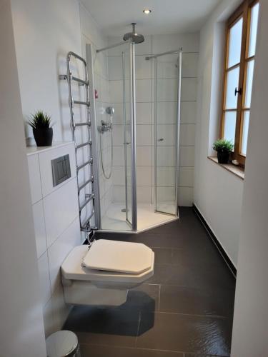 a bathroom with a toilet and a glass shower at Stadthaus nahe Fußgängerzone in Hagen