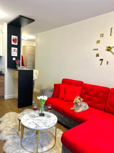 a dog sitting on a red couch in a living room at Downtown Apartments Presley air-conditioned in Rzeszów