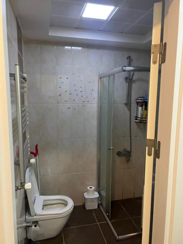 W łazience znajduje się toaleta i przeszklony prysznic. w obiekcie Full furnished Stylish Flat in Istanbul w Stambule