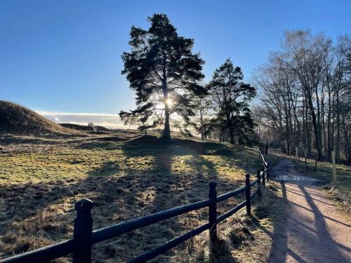a fence and a tree in a field at New Small house Uppsala in Uppsala