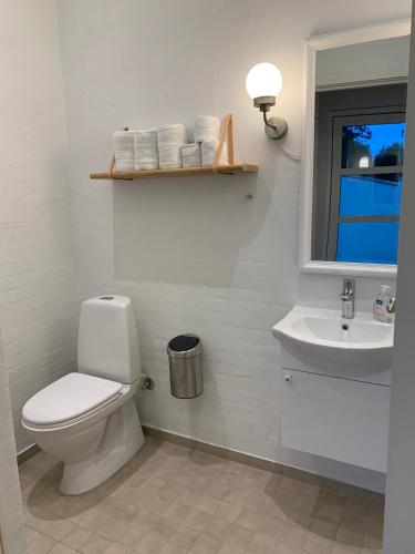 a bathroom with a toilet and a sink and a window at LatterLy Apartments in Voel
