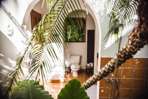Κήπος έξω από το Villas Almendros