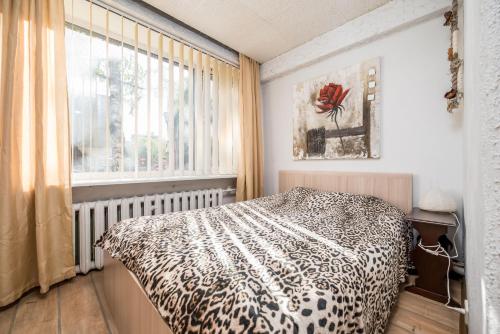 a bedroom with a leopard print bed in a window at Lauteri Apart INN Free parking Self Check-In 24h in Tallinn