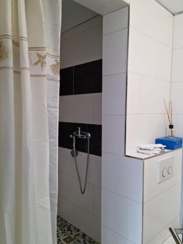 Apartment Dijana