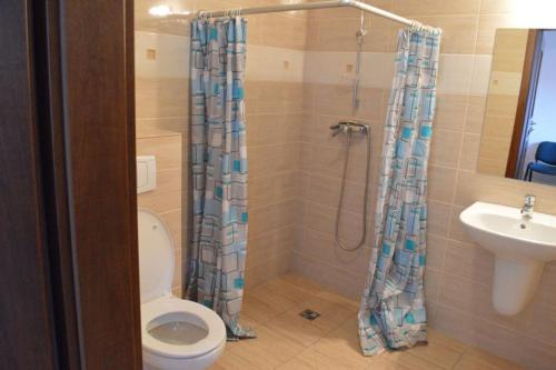 La salle de bains est pourvue d'une douche, de toilettes et d'un lavabo. dans l'établissement Ośrodek SUDETY, à Pokrzywna